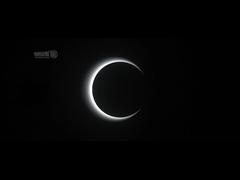 AC100-240V Hızlı Kapı Turnikesi Ofis Binası Optik Hız Bariyeri Kapısı